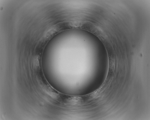 X0000089900128200706281457
