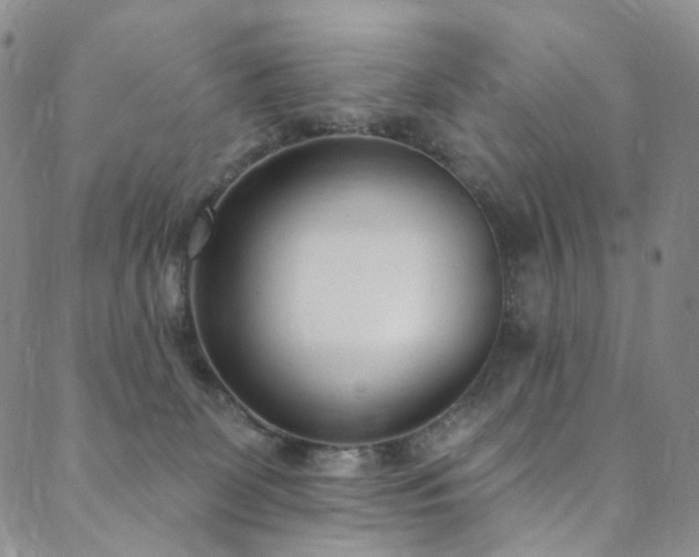 X0000089900131200706281457
