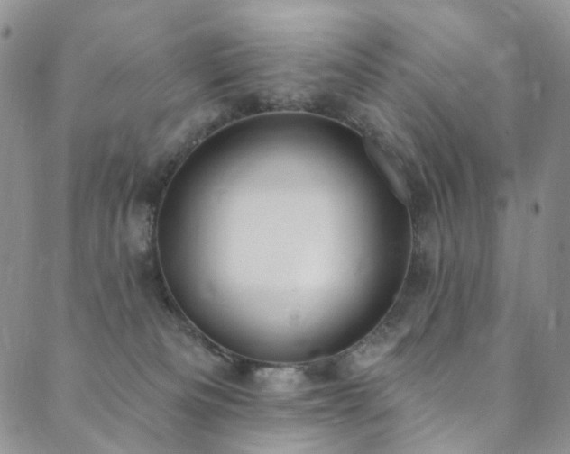 X0000089900133200706281457