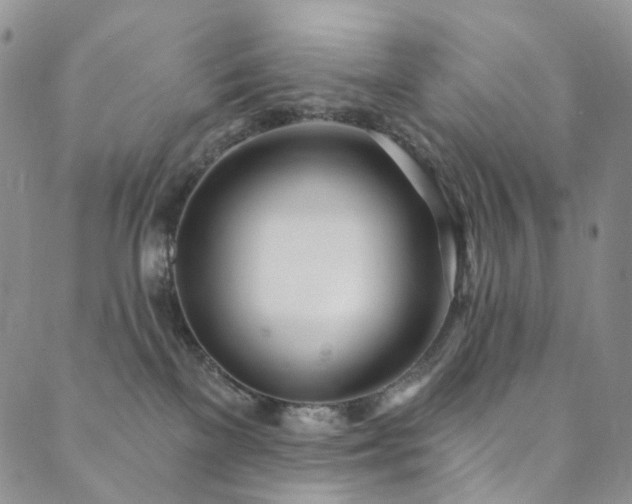 X0000089900137200706281457