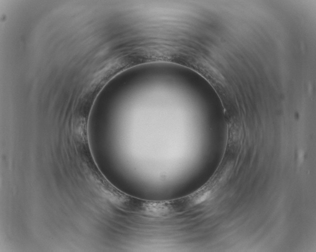 X0000089900141200706281456