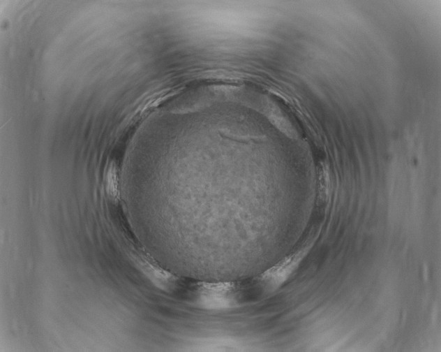 X0000089900143200706281456