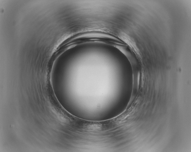 X0000089900156200706281456