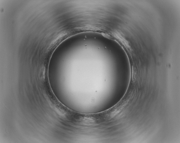 X0000089900157200706281456