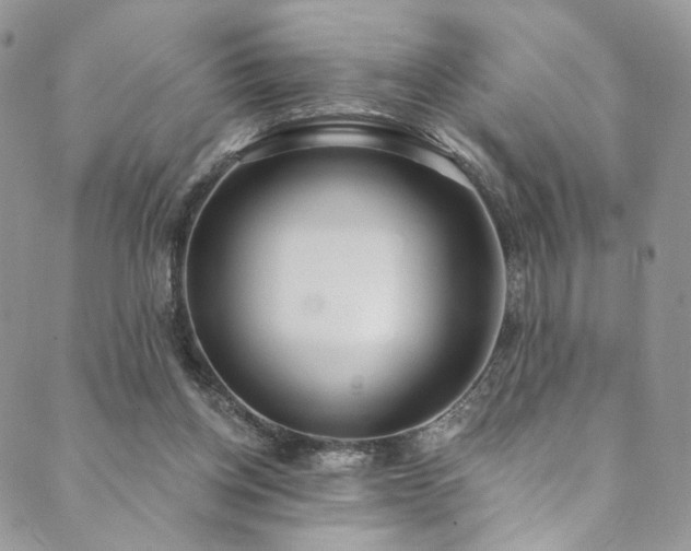 X0000089900158200706281456