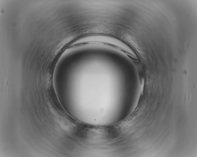 X0000089900164200706281456