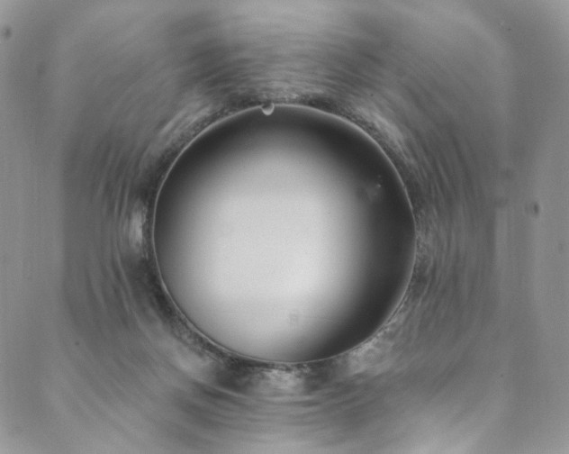 X0000089900166200706281456