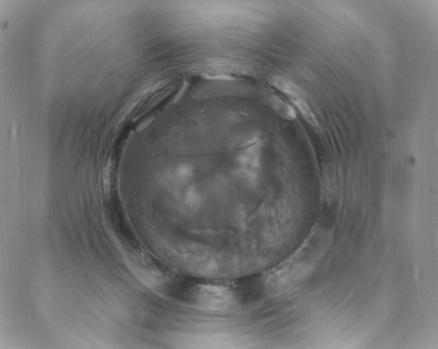 X0000089900167200706281456