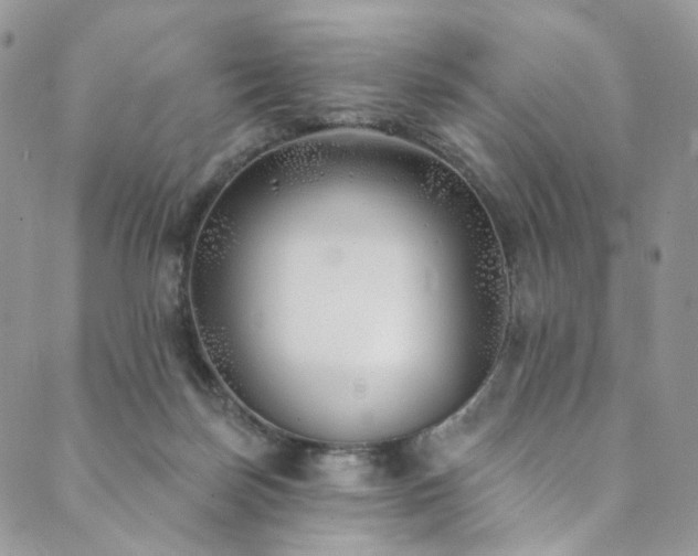 X0000089900171200706281456