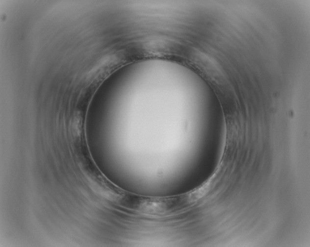 X0000089900174200706281456