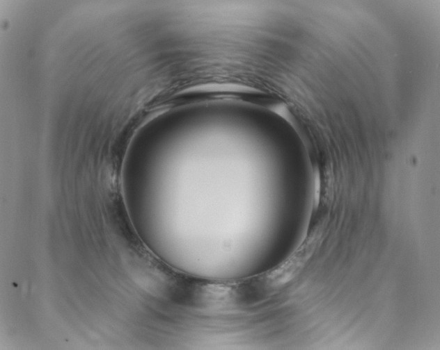 X0000089900176200706281456