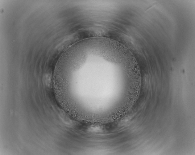 X0000089900177200706281456
