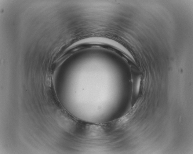 X0000089900180200706281456