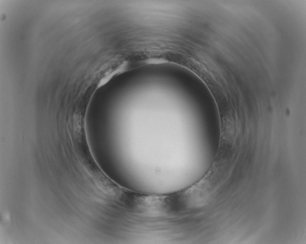 X0000089900184200706281456