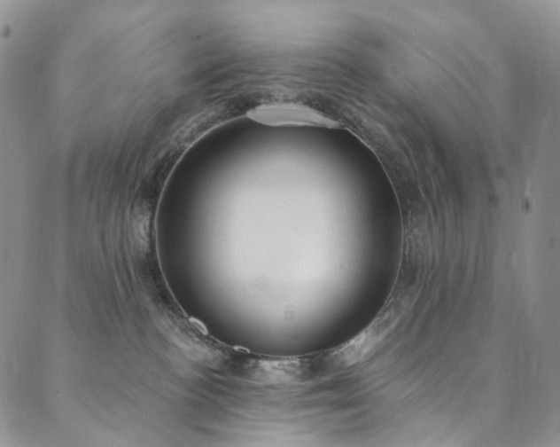 X0000089900188200706281456