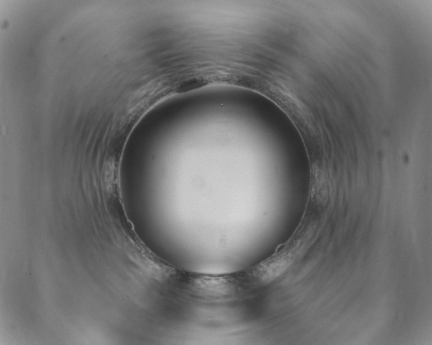 X0000089900189200706281456