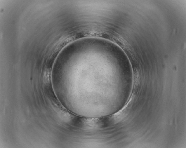X0000089900191200706281456