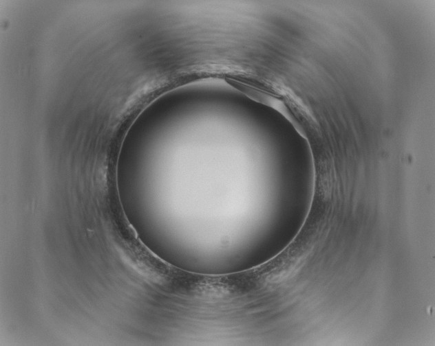 X0000089900207200706281455