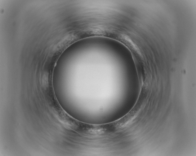 X0000089900213200706281455