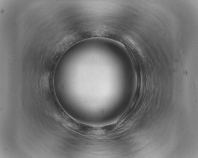 X0000089900217200706281455
