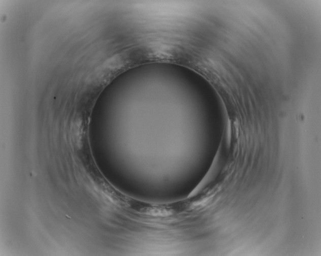 X0000089900223200706281455