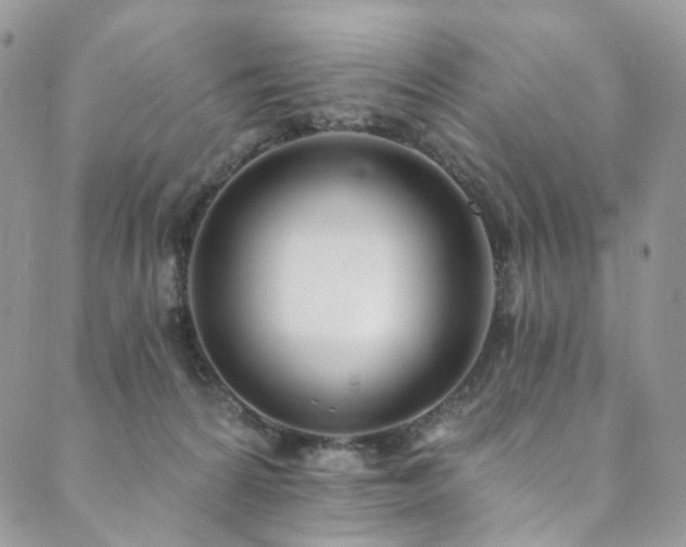 X0000089900224200706281455