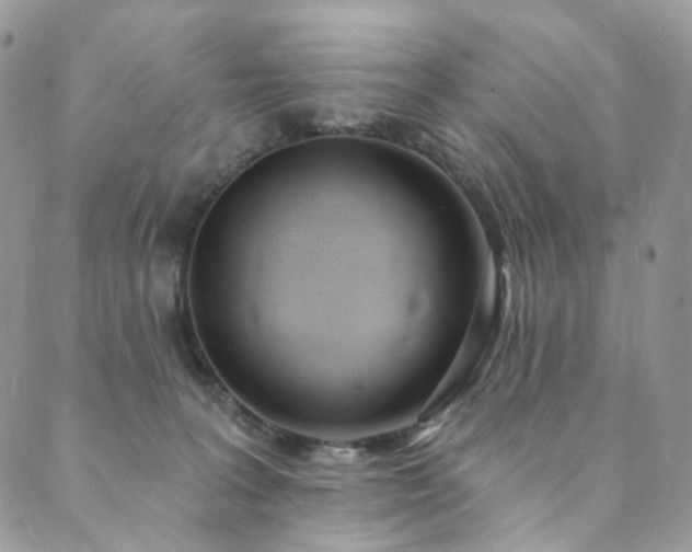 X0000089900227200706281455