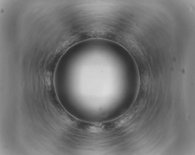 X0000089900232200706281455