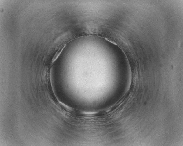 X0000089900233200706281455