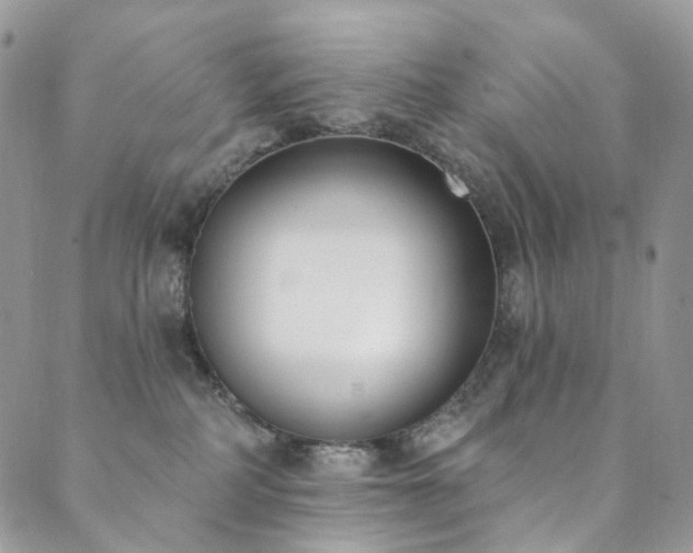 X0000089900234200706281455