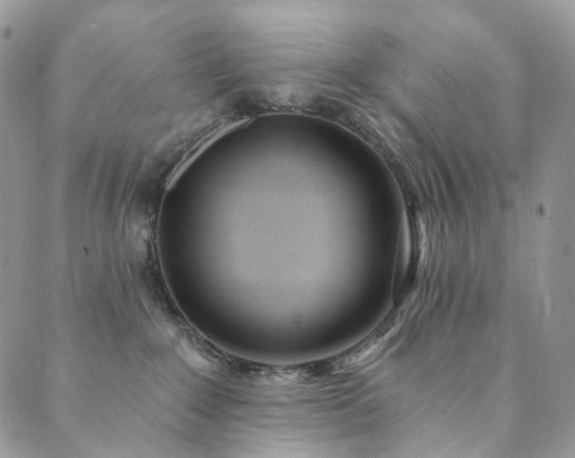 X0000089900235200706281455
