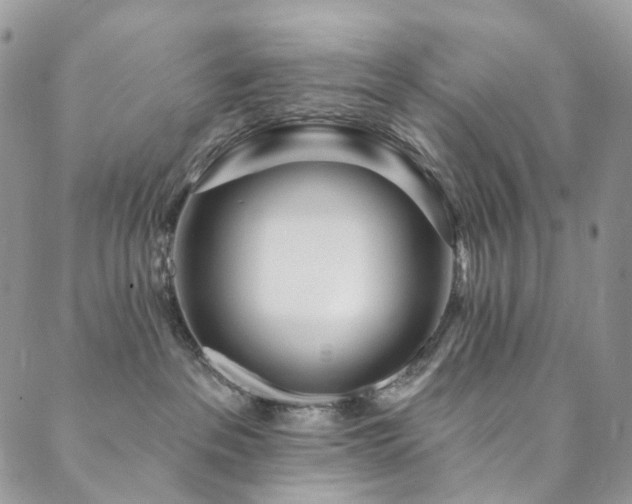 X0000089900237200706281455