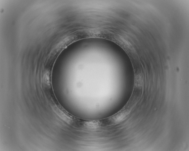 X0000089900238200706281455
