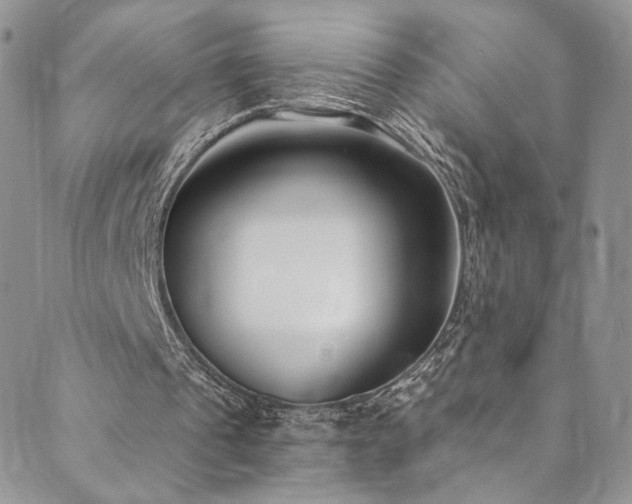 X0000089900241200706281454