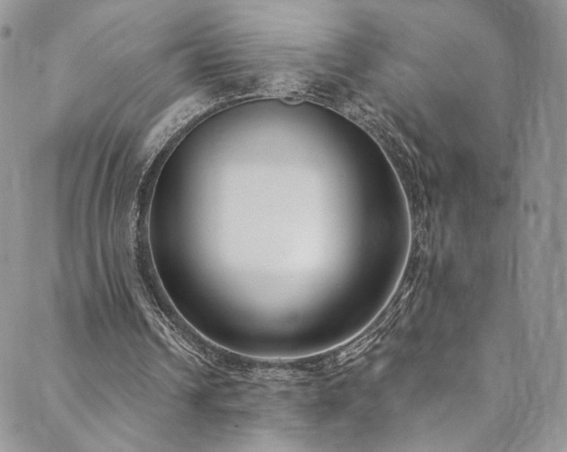 X0000089900242200706281454