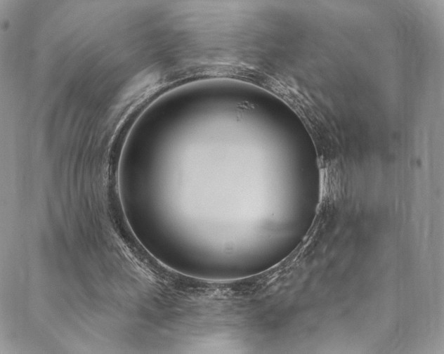 X0000089900243200706281454