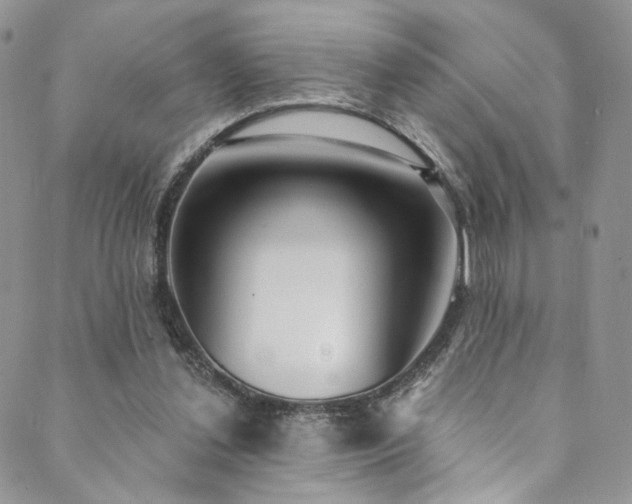 X0000089900252200706281454