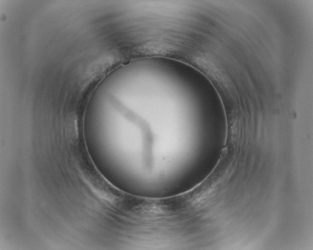 X0000089900254200706281454