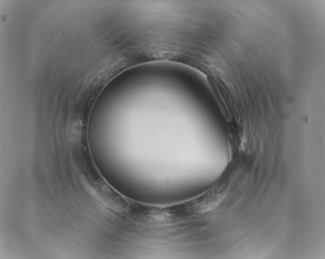 X0000089900263200706281454