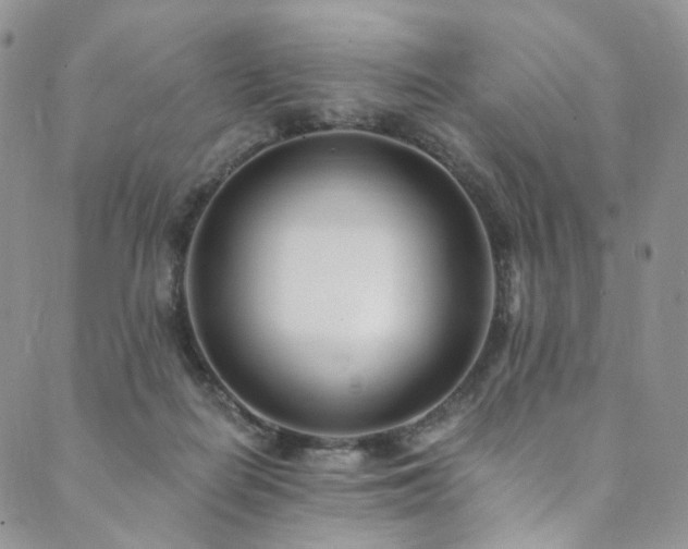 X0000089900266200706281454