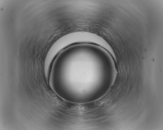 X0000089900276200706281455
