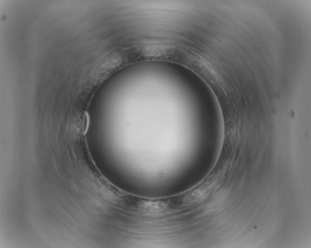 X0000089900277200706281455