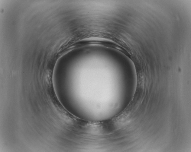 X0000089900280200706281455