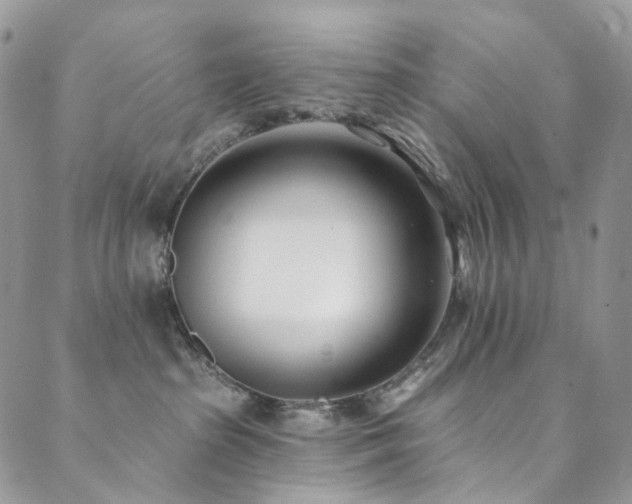 X0000089900285200706281455