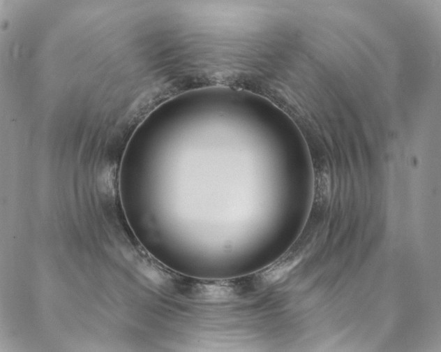 X0000089900286200706281455