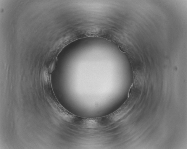 X0000089900287200706281455