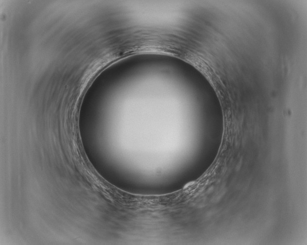 X0000089900289200706281454