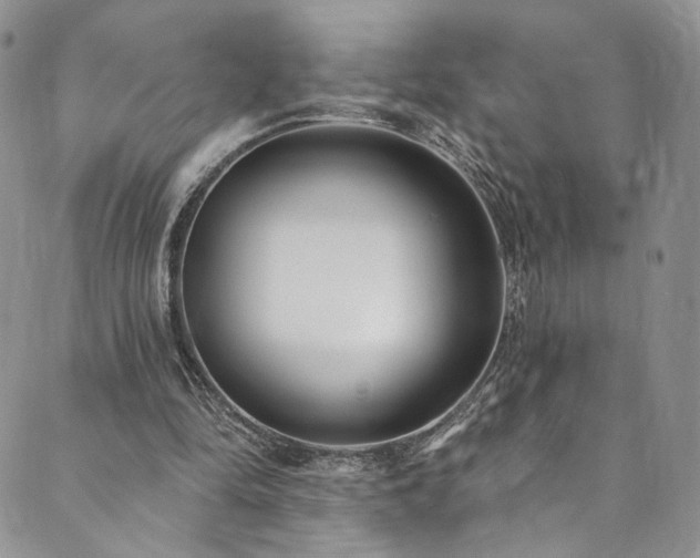 X0000089900294200706281454