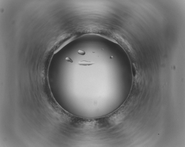X0000089900306200706281454