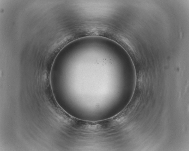 X0000089900314200706281454
